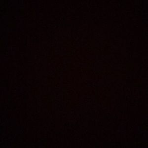 Meet your Posher, Ava